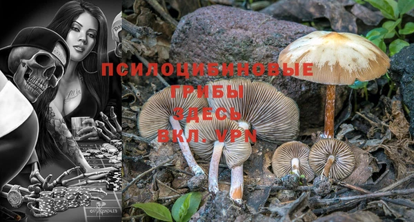 синтетический гашиш Медвежьегорск